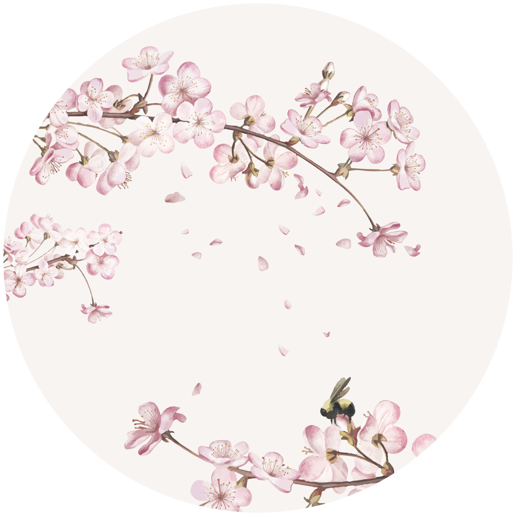 Behangcirkel Japanse kersenbloesem