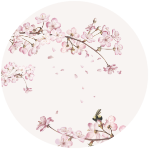 Behangcirkel Japanse kersenbloesem