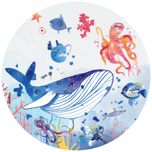 Behangcirkel Oceania