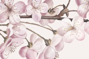 Japanse kersenbloesem - Bloemen behang met vogels en bijen